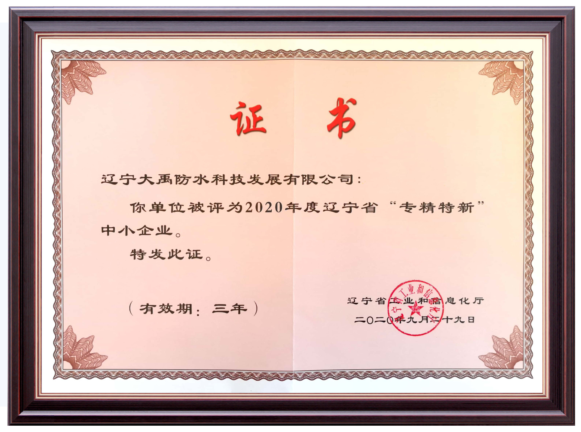 2020 Liaoning Province Specialized and Special New Small and Medium Enterprises