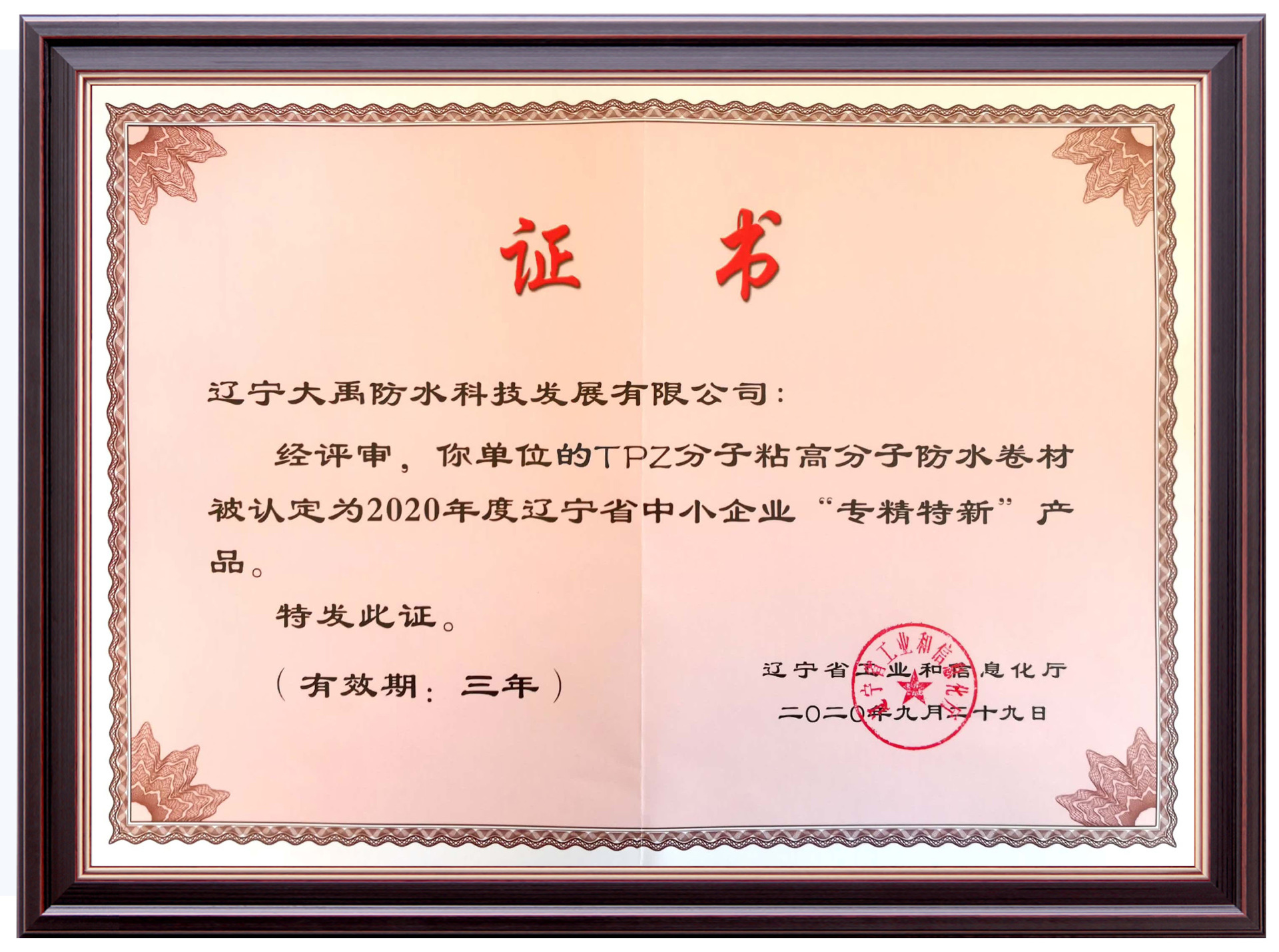 2020 Liaoning Province Small and Medium-sized Enterprises Specialized New Products